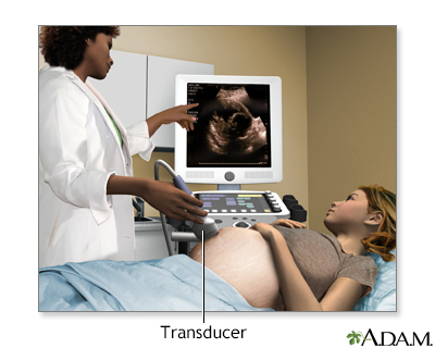 Pelvic Obstetrics Scan
